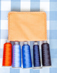 Spools of thread in various colors on a checkered fabric background