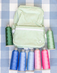 Pimlico Stripe Sage TRVL Large Roadie Pouch Bag