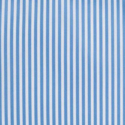 Pimlico Stripe Chambray