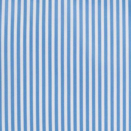 Pimlico Stripe Chambray