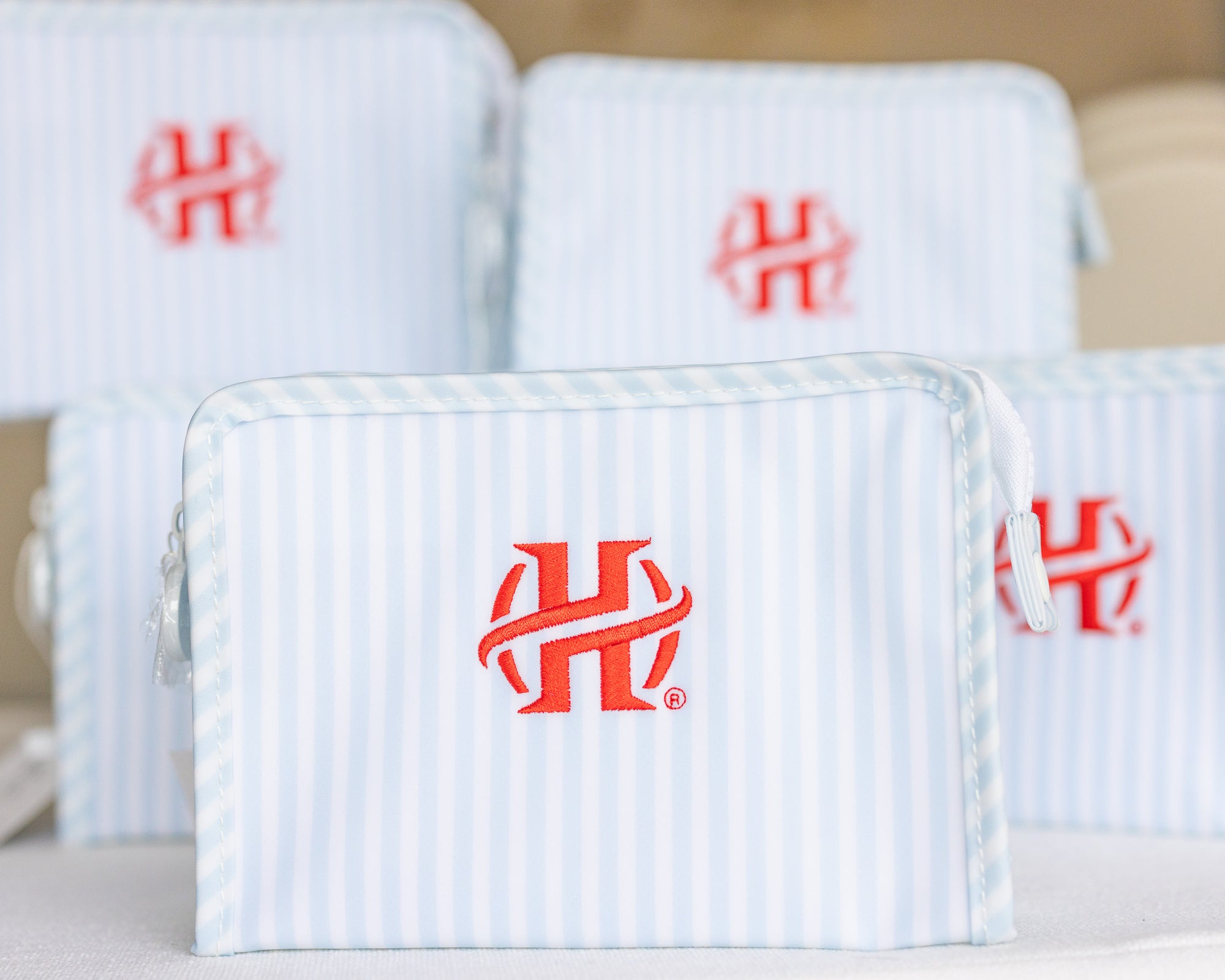 Pimlico Stripe Blue Personalized Small Roadie Pouch