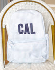 Pimlico Stripe Blue TRVL Backpacker