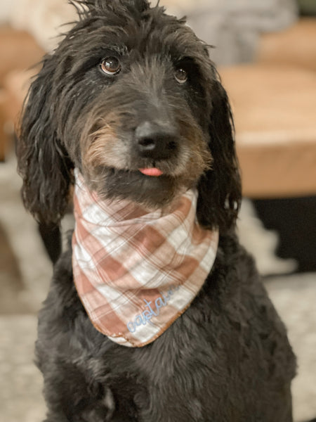 Personalized Pet Bandana